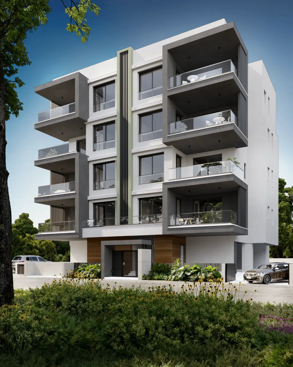 Bidifer Project